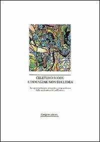 L' immagine non euclidea. La rappresentazione prospettica computerizzata in architettura - Celestino Soddu - copertina