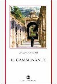 Il camminante - Luciano Caglioti - copertina