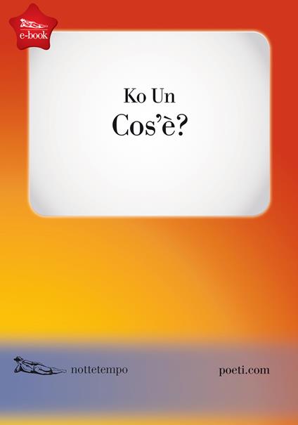 Cos'è - Un Ko,Vincenza D'Urso - ebook