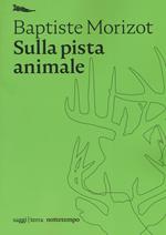 Sulla pista animale