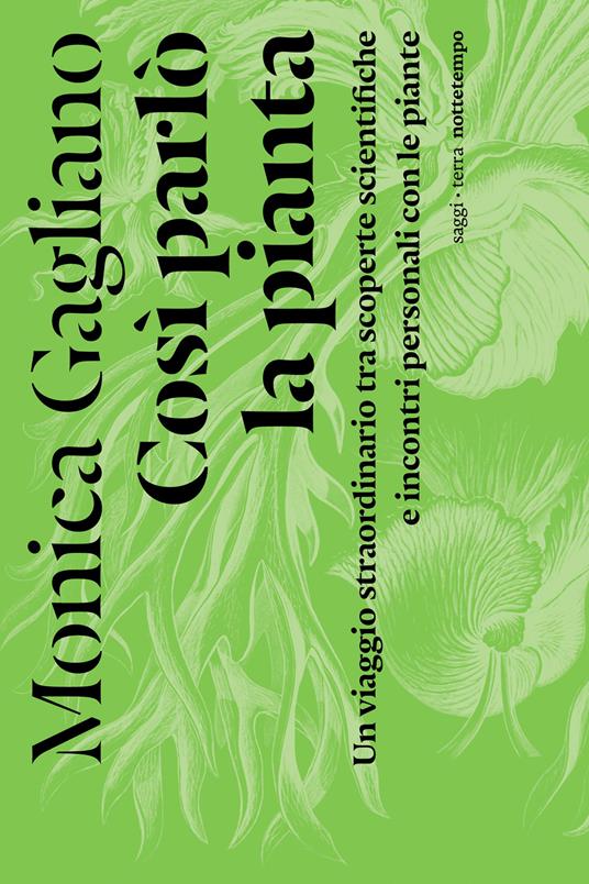 Così parlò la pianta. Un viaggio straordinario tra scoperte scientifiche e incontri personali con le piante - Monica Gagliano,Alessandra Castellazzi - ebook