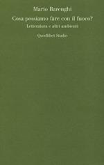 Cosa possiamo fare con il fuoco? Letteratura e altri ambienti