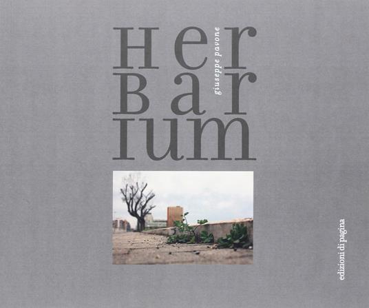 Herbarium - Giuseppe Pavone - copertina