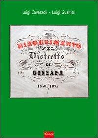Risorgimento nel distretto di Gonzaga (1830-1875) - Luigi Cavazzoli,Luigi Gualtieri - copertina