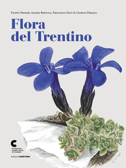 Flora del Trentino - Filippo Prosser,Alessio Bertolli,Francesco Festi - copertina