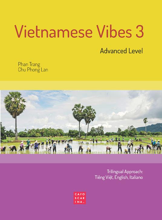 Vietnamese Vibes 3. Advanced level. Ediz. bilingue - Phan Trang,Chu Phong Lan - copertina