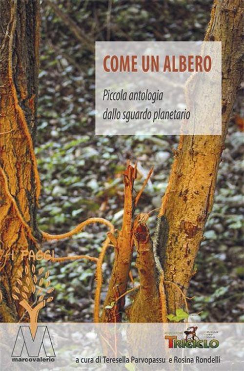 Come un albero. Piccola antologia dallo sguardo planetario - copertina