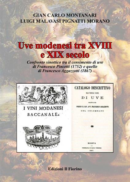 Uve modenesi tra XVIII e XIX secolo - Gian Carlo Montanari,Luigi Malavasi Pignatti Morano - copertina