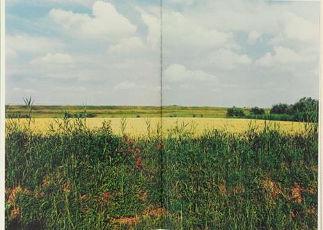 Un' evidenza fantascientifica. Luigi Ghirri, Andrea Zanzotto, Giuseppe Caccavale - 2