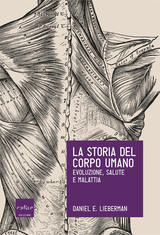 La storia del corpo umano. Evoluzione, salute e malattia - Daniel E. Lieberman,Eva Filoramo - ebook