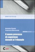 Il nuovo processo di cognizione davanti al tribunale