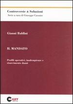 Il mandato. Profili operativi, inadempienze e risarcimento danni