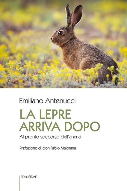 La lepre arriva dopo. Al pronto soccorso dell'anima - Emiliano Antenucci - copertina