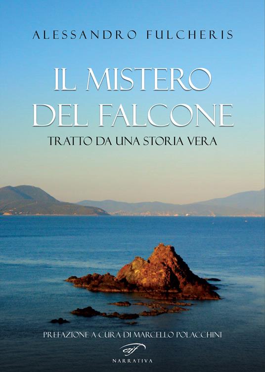 Il mistero del falcone - Alessandro Fulcheris - copertina