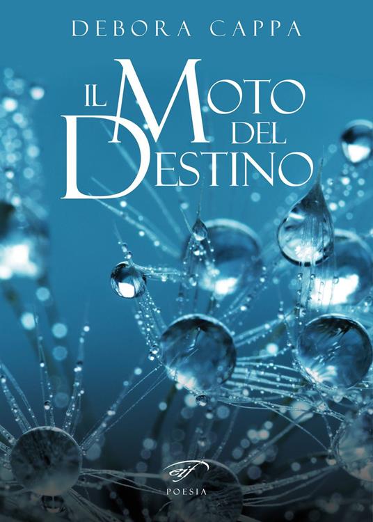 Il moto del destino - Debora Cappa - copertina