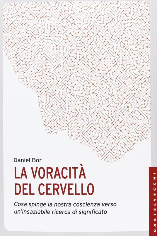 La voracità del cervello. Cosa spinge la nostra coscienza verso un'insaziabile ricerca del significato - Daniel Bor - copertina