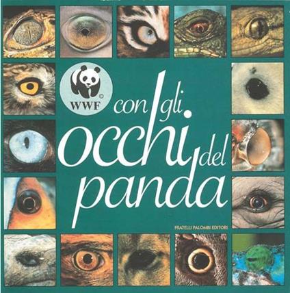 Con gli occhi del panda - copertina