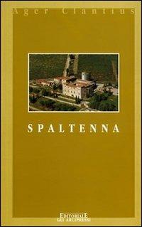 Spaltenna. (La Pieve e il suo piviere) - Renato Stopani - copertina