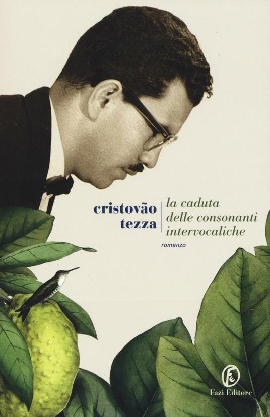 La caduta delle consonanti intervocaliche - Cristóvão Tezza - copertina