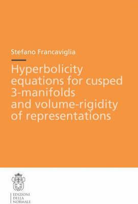 Hyperbolicity equations for cusped 3. Manifolds and volume. Rigidity of representations - Stefano Francaviglia - copertina