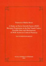 A study on nerve groth factor (NGF). Receptor expression in the rat visual cortex: possible sites and mechanism of NGF action in cortical plasticity