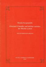 Principal G-bundles and abelian varieties: the Hitchin System