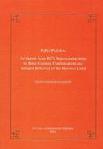 Evolution from BCS superconductivity to Bose-Einstein condensation and infrared behavior of the bosonic limit