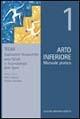 Arto inferiore. Manuale pratico. Vol. 1 - Carlo Tranquilli,Gianluca Bernabei - copertina
