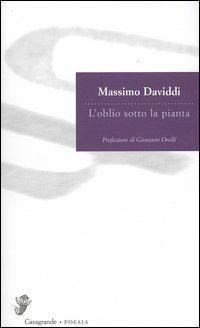 L'oblio sotto la pianta - Massimo Daviddi - copertina