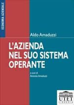 L' azienda nel suo sistema operante