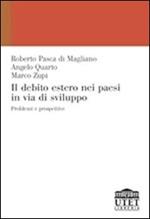 Il debito estero nei paesi in via di sviluppo. Problemi e prospettive