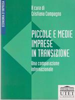 Piccole e medie imprese in transizione. Una comparazione internazionale