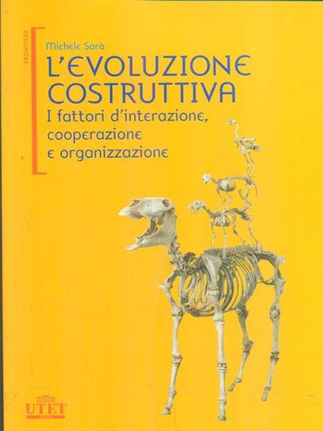 L' evoluzione costruttiva. I fattori d'interazione, cooperazione e organizzazione - Michele Sarà - 5