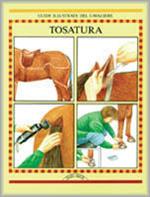 Tosatura