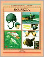 Sicurezza - Tony Webber - copertina