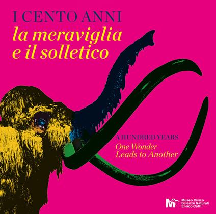 I cento anni la meraviglia e il solletico-A hundred years one wonder leads to another - Paola Suardi,Valentina Dolciotti - copertina