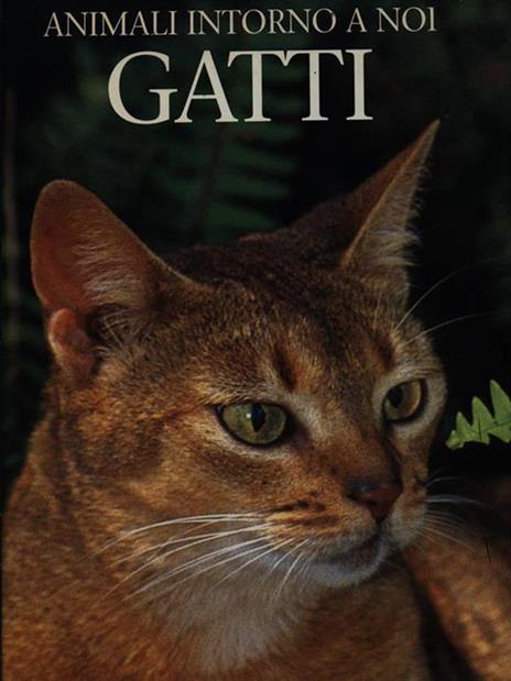 I gatti. Ediz. illustrata - copertina