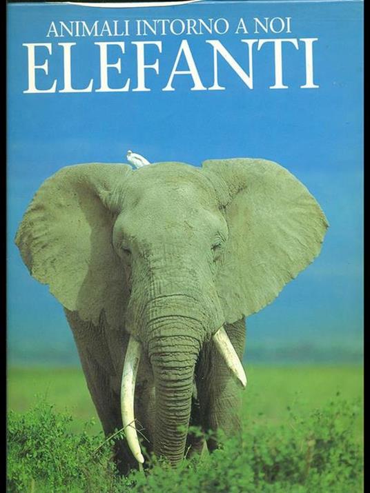 Elefanti. Ediz. illustrata - Leonard Lee Rue - copertina