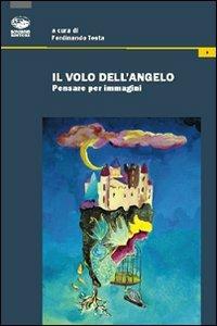 Il volo dell'angelo - Ferdinando Testa - copertina