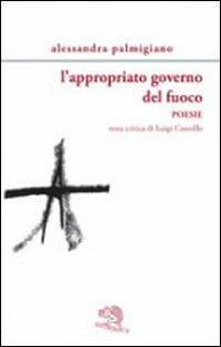 L' appropriato governo del fuoco - Alessandra Palmigiano - copertina