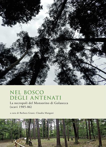 Nel bosco degli antenati. La necropoli del Monsorino di Golasecca (scavi 1985-86) - copertina