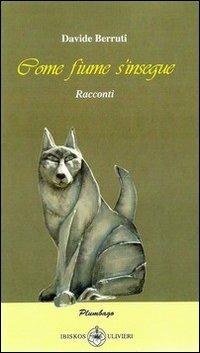 Come fiume d'insegue - Davide Berruti - copertina