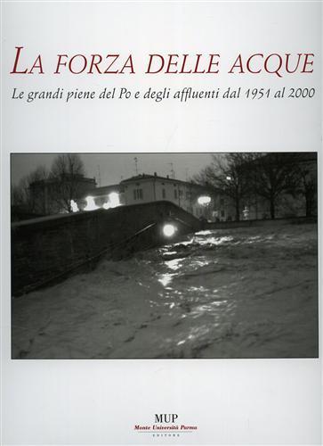 La forza delle acque. Le piene dal 1951 al 2000 - 2