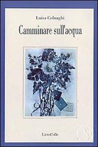 Camminare sull'acqua - Luisa Colnaghi - copertina