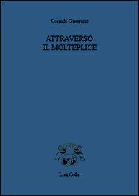 Attraverso il molteplice - Corrado Guerrazzi - copertina