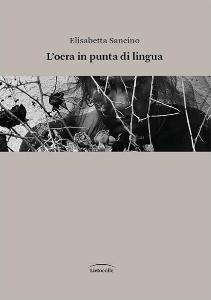 L'ocra in punta di lingua - Elisabetta Sancino - copertina