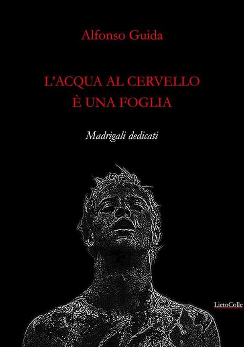 L'acqua al cervello è una foglia - Alfonso Guida - copertina