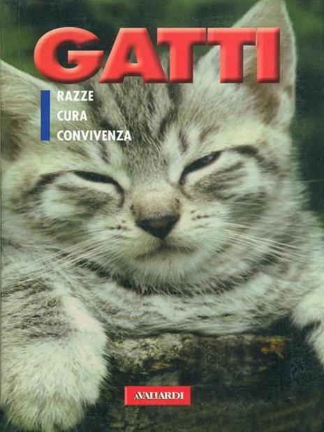 Gatti - 5