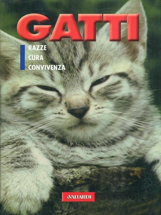 Gatti - 5