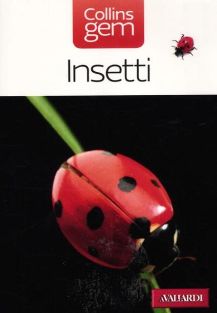 Insetti - Michael Chinery - copertina